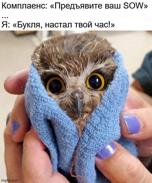 Сначала думал сделать англоязычную версию этого мема с хрюшкой – но в итоге решил, что сова здесь будет уместнее Сначала думал сделать англоязычную версию этого мема с хрюшкой – но в итоге решил, что сова здесь будет уместнее