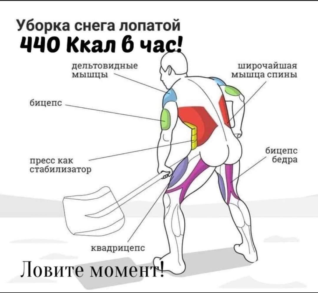 Для чего вам тренировка «стоимостью» в полвафли, если у вас КФА 1,2? - 2