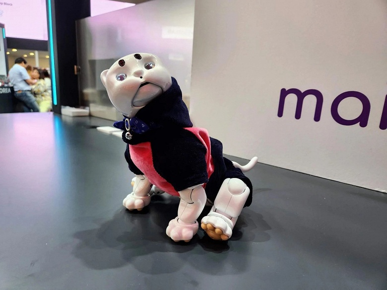 На выставке IFA 2022 показали сразу двух милых роботов-котов