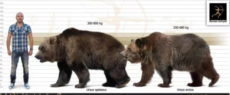 Кто там, в толще скал? - 6 Кто там, в толще скал? - 6