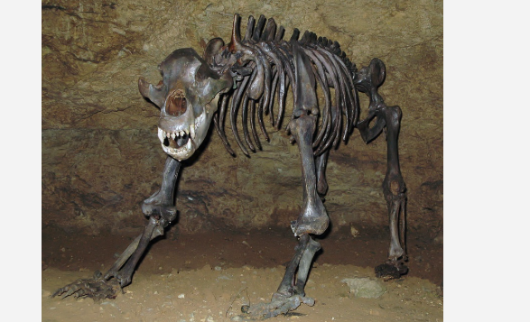 Кто там, в толще скал? - 8 Кто там, в толще скал? - 8