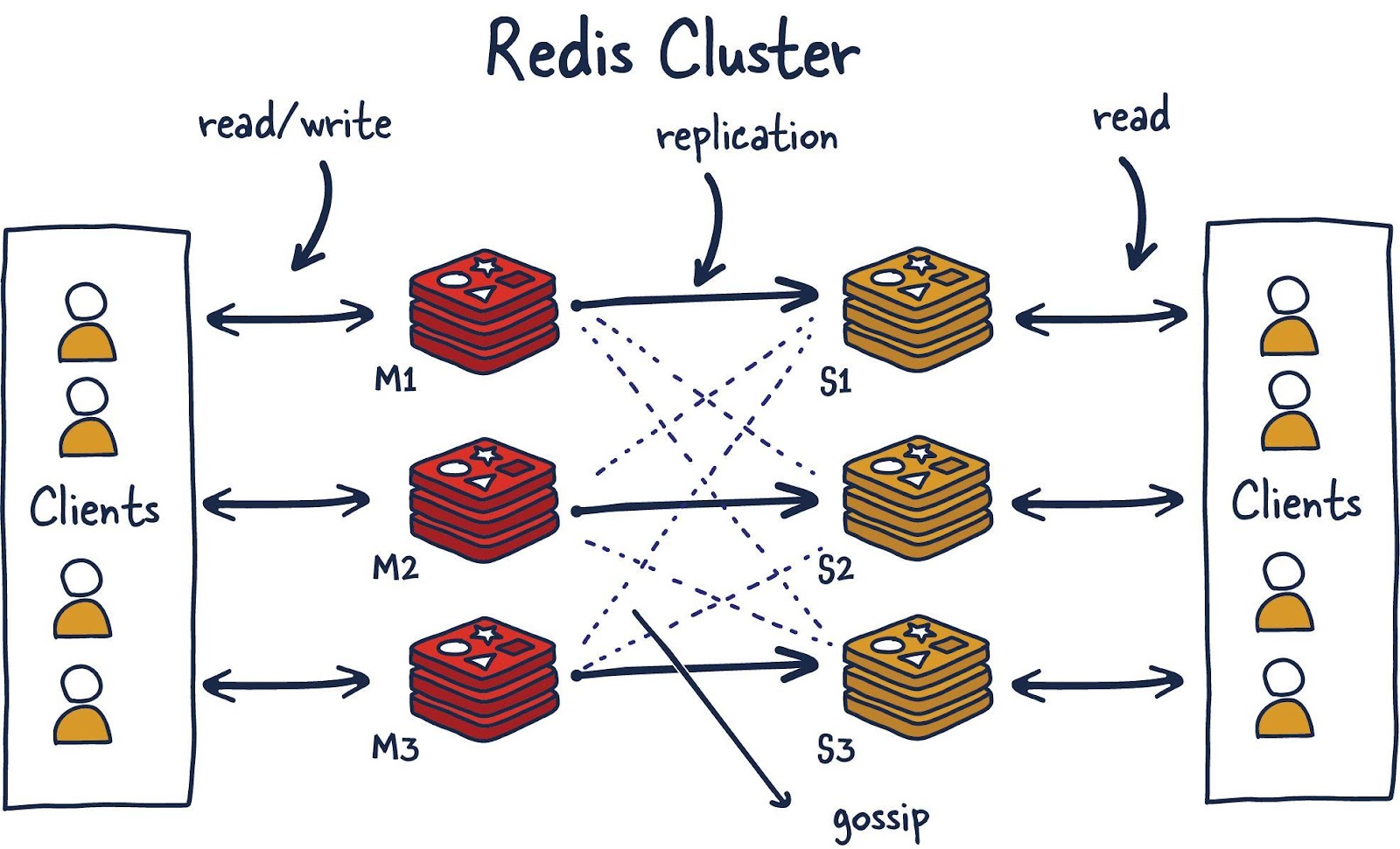 Кластер Redis. Клиенты выполняют операции чтения/записи, взаимодействуя с ведущими (M1, M2, M3) узлами Redis. Между ведущими и подчинёнными (S1, S2, S3) выполняется репликация данных. Другие клиенты, обращаясь к подчинённым узлам, выполняют операции чтения данных. Для определения общего состояния кластера используется протокол Gossip.