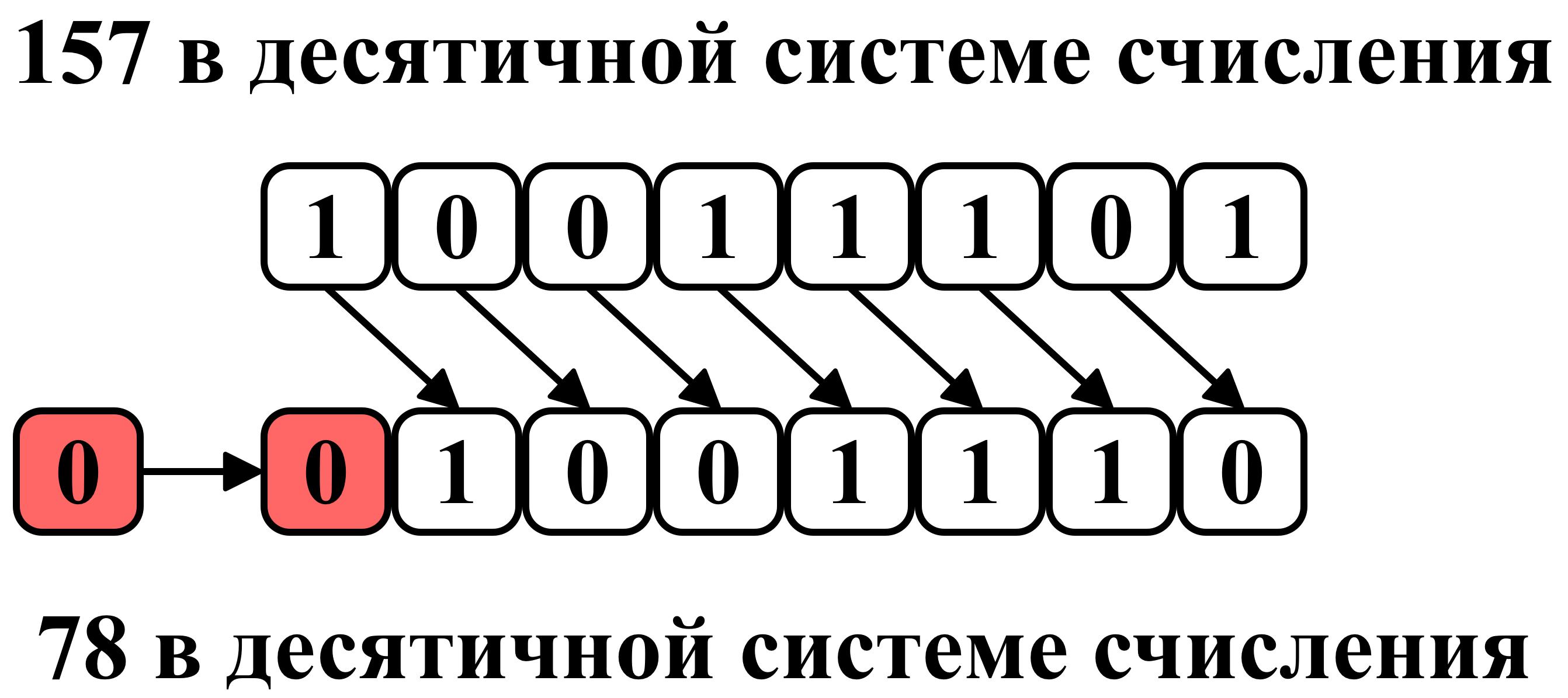 Пример побитового сдвига вправо для числа 157