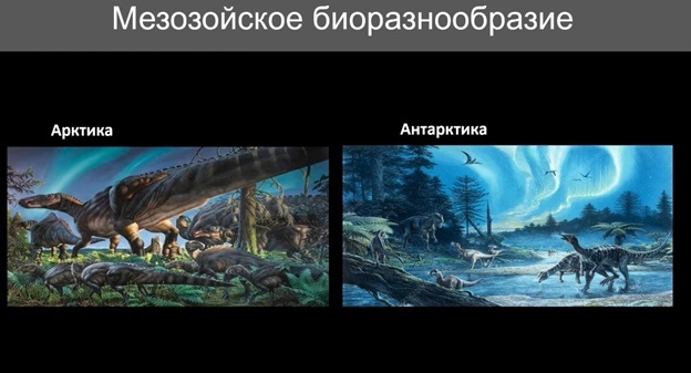 Улики Эволюции в ретроспективе. Скучас и полярные динозавры - 11 Улики Эволюции в ретроспективе. Скучас и полярные динозавры - 11