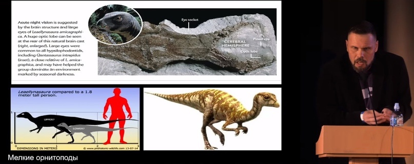 Улики Эволюции в ретроспективе. Скучас и полярные динозавры - 22