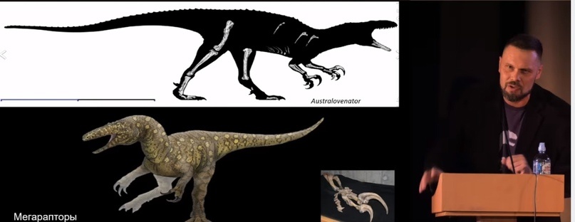 Улики Эволюции в ретроспективе. Скучас и полярные динозавры - 23