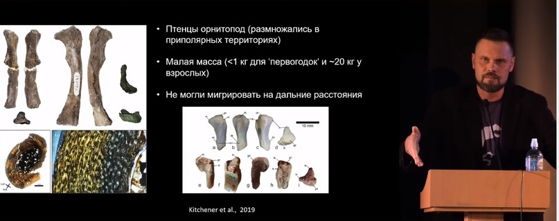 Улики Эволюции в ретроспективе. Скучас и полярные динозавры - 29