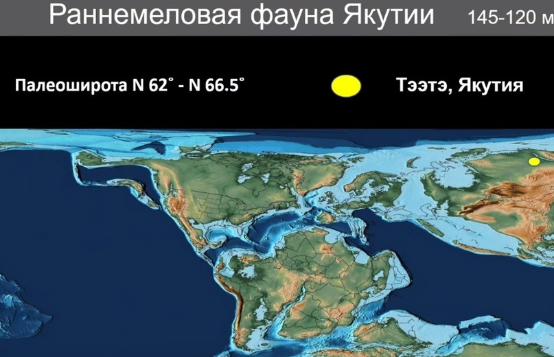 Улики Эволюции в ретроспективе. Скучас и полярные динозавры - 33