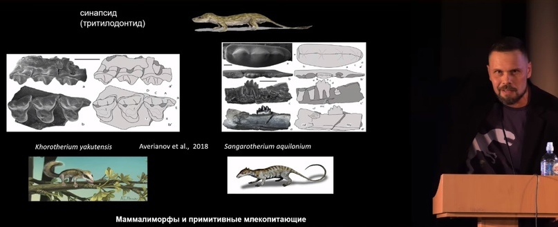 Улики Эволюции в ретроспективе. Скучас и полярные динозавры - 45