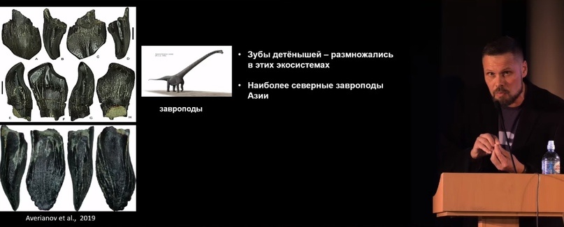 Улики Эволюции в ретроспективе. Скучас и полярные динозавры - 46