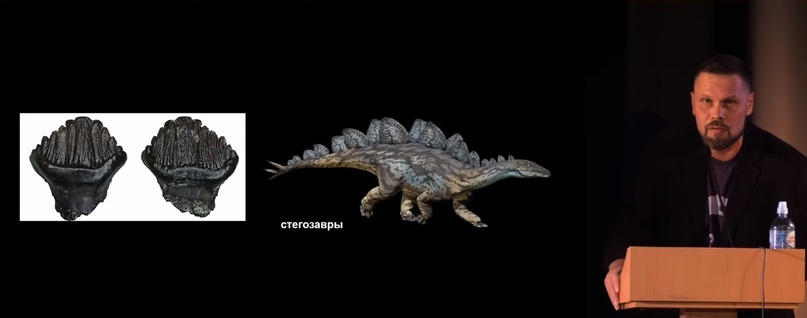 Улики Эволюции в ретроспективе. Скучас и полярные динозавры - 47 Улики Эволюции в ретроспективе. Скучас и полярные динозавры - 47