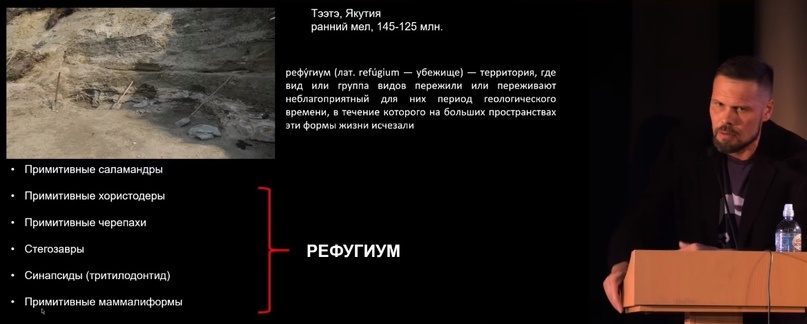 Улики Эволюции в ретроспективе. Скучас и полярные динозавры - 50 Улики Эволюции в ретроспективе. Скучас и полярные динозавры - 50
