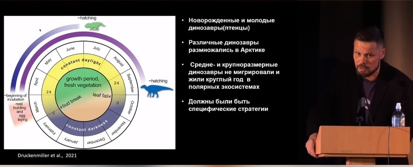 Улики Эволюции в ретроспективе. Скучас и полярные динозавры - 61