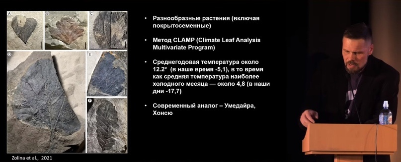 Улики Эволюции в ретроспективе. Скучас и полярные динозавры - 65 Улики Эволюции в ретроспективе. Скучас и полярные динозавры - 65
