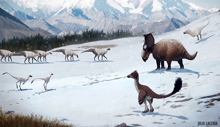 Улики Эволюции в ретроспективе. Скучас и полярные динозавры - 1