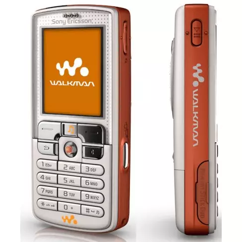 W800. Флагманский музыкальный телефон. Один минус - не MicroSD, а дорогущие MemoryStick Duo