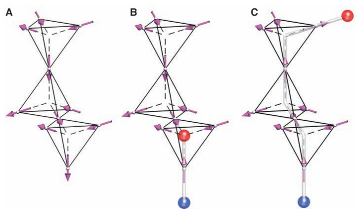 Сложный путь к магнитному монополю Дирака - 2 Сложный путь к магнитному монополю Дирака - 2