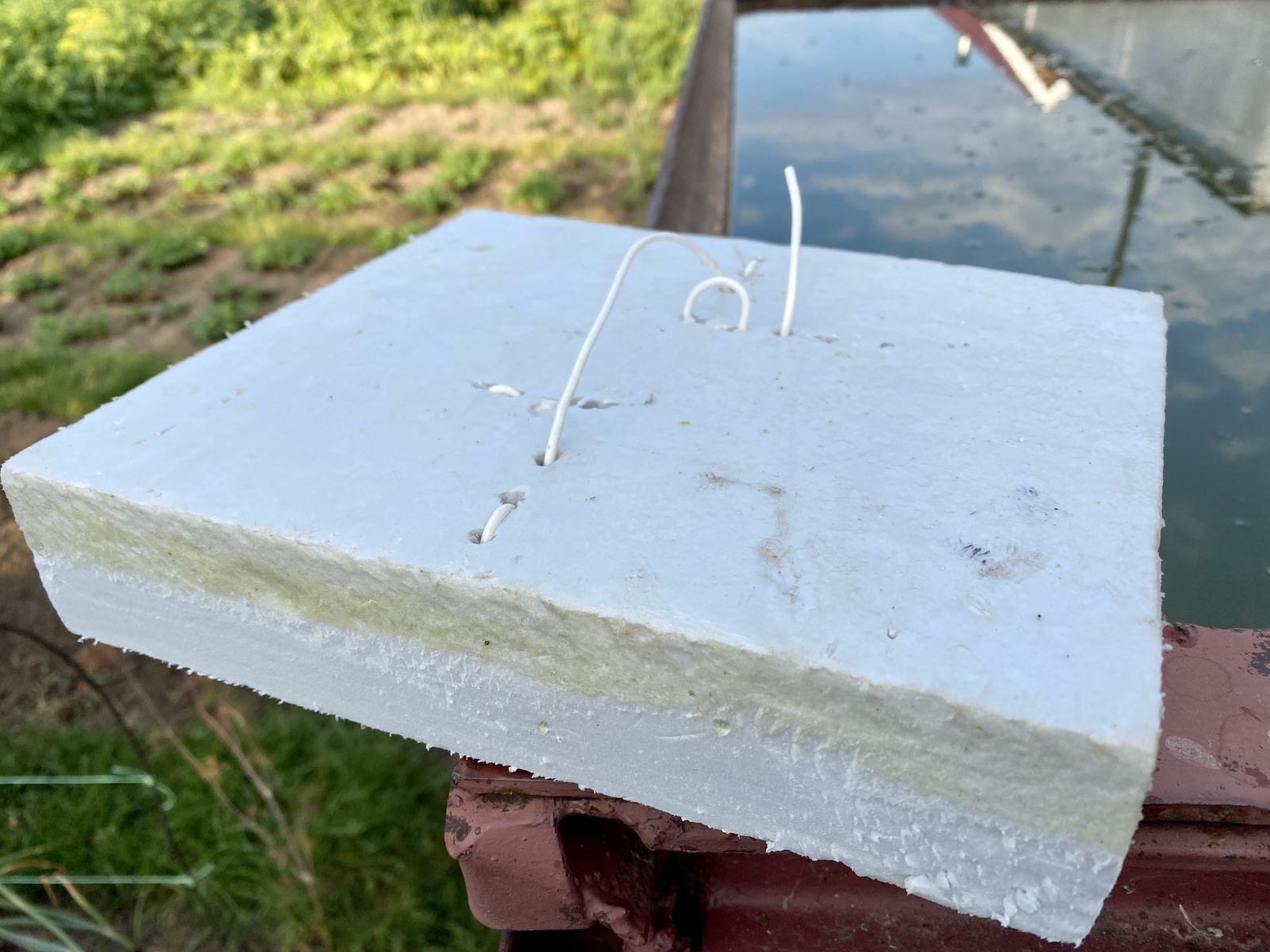 Плавающий телефон, охота за серой цаплей и плавательный пузырь для человека - 2 Плавающий телефон, охота за серой цаплей и плавательный пузырь для человека - 2