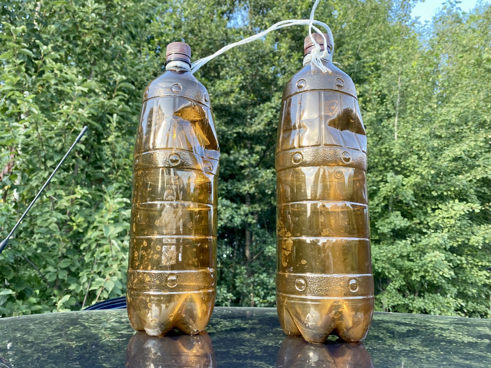 Плавающий телефон, охота за серой цаплей и плавательный пузырь для человека - 4 Плавающий телефон, охота за серой цаплей и плавательный пузырь для человека - 4