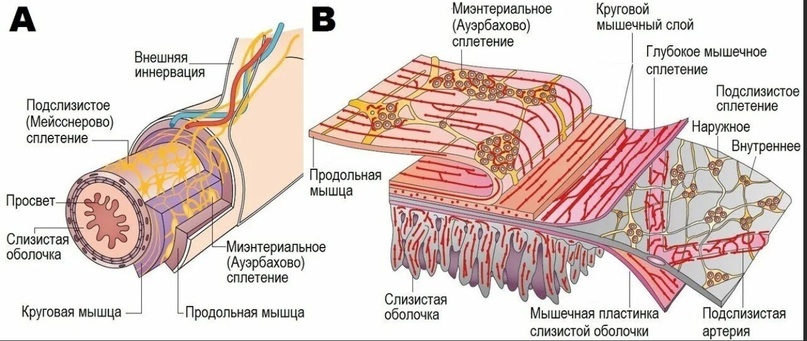 Техническая начинка химического конвейера