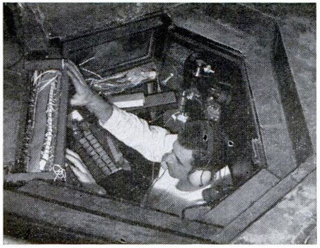 Жук в атомном муравейнике - 4