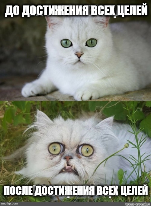 Чтобы не быть как этот котик, не забывайте, что быть счастливым – это тоже своего рода цель Чтобы не быть как этот котик, не забывайте, что быть счастливым – это тоже своего рода цель