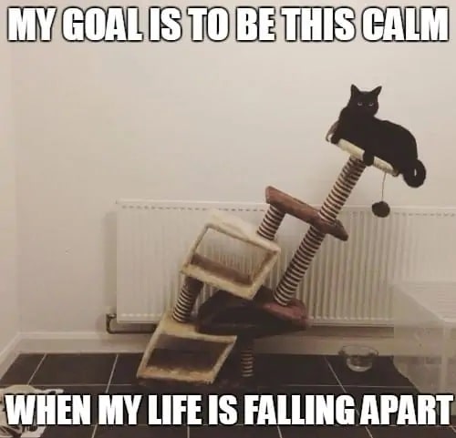 Кажется, единственной адекватной целью в 2022-м могла быть только эта Кажется, единственной адекватной целью в 2022-м могла быть только эта