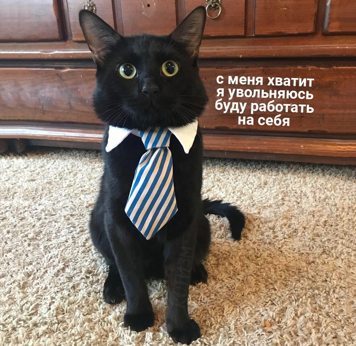 Слепые капитаны ищут дно: почему российский бизнес – это болото, в котором барахтаются идиоты-«менеджеры» - 9 Слепые капитаны ищут дно: почему российский бизнес – это болото, в котором барахтаются идиоты-«менеджеры» - 9