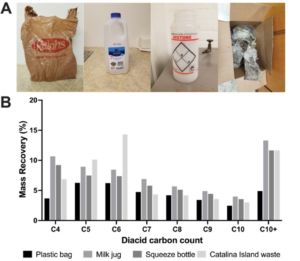 Необычный дуэт: переработка пластика в сырье для фармацевтики с помощью грибов - 3 Необычный дуэт: переработка пластика в сырье для фармацевтики с помощью грибов - 3