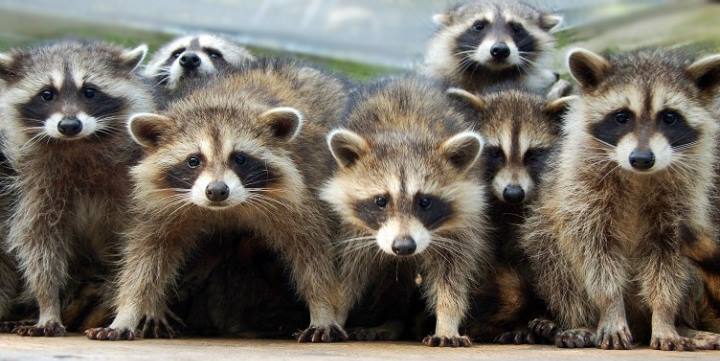 На группе понимаешь, что всех нас объединяют похожие заморочки, эмоции и проблемы. И что все мы похожи. На группе понимаешь, что всех нас объединяют похожие заморочки, эмоции и проблемы. И что все мы похожи.