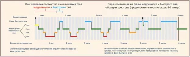 Самый научный гайд по сну - 3