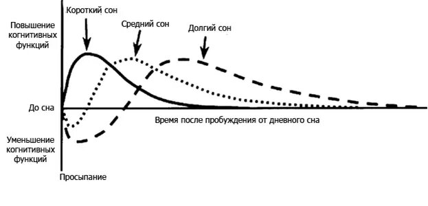 Самый научный гайд по сну - 5