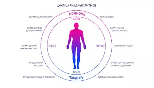 Самый научный гайд по сну - 1