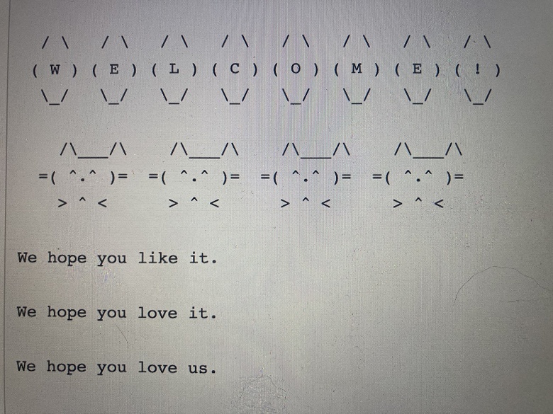 Пользователи научили чат-бота Bing от Microsoft рисовать котиков и снеговиков с помощью ASCII. Изначально там не было такой функции - 4 Пользователи научили чат-бота Bing от Microsoft рисовать котиков и снеговиков с помощью ASCII. Изначально там не было такой функции