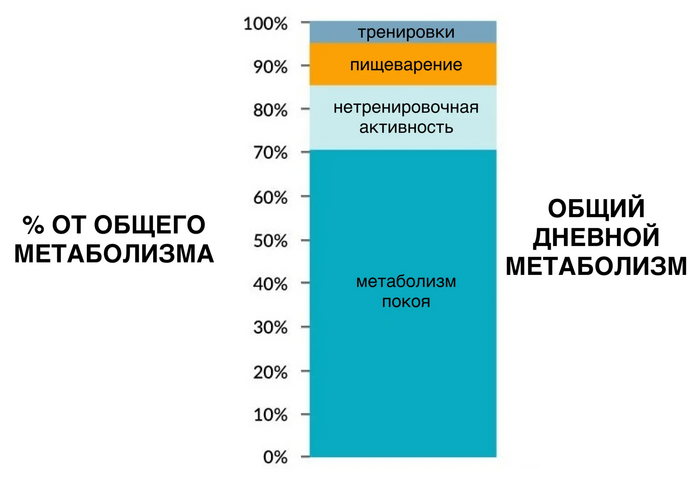 Мифы про метаболизм и почему люди не худеют на 1000 калорий? - 2