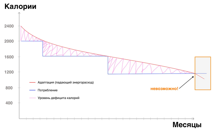 Мифы про метаболизм и почему люди не худеют на 1000 калорий? - 7