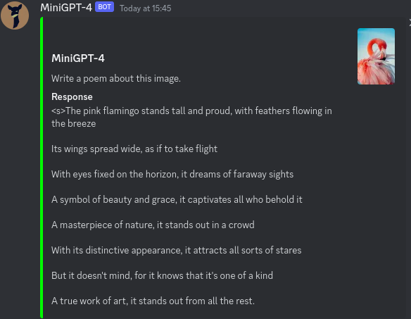 MiniGPT-4, ты что за зверь такой? - 3 image