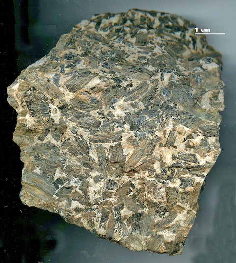 Этому образцу фюзена 309 миллионов лет, он добыт в угольной шахте в графстве Гранди, штат Иллинойс.   