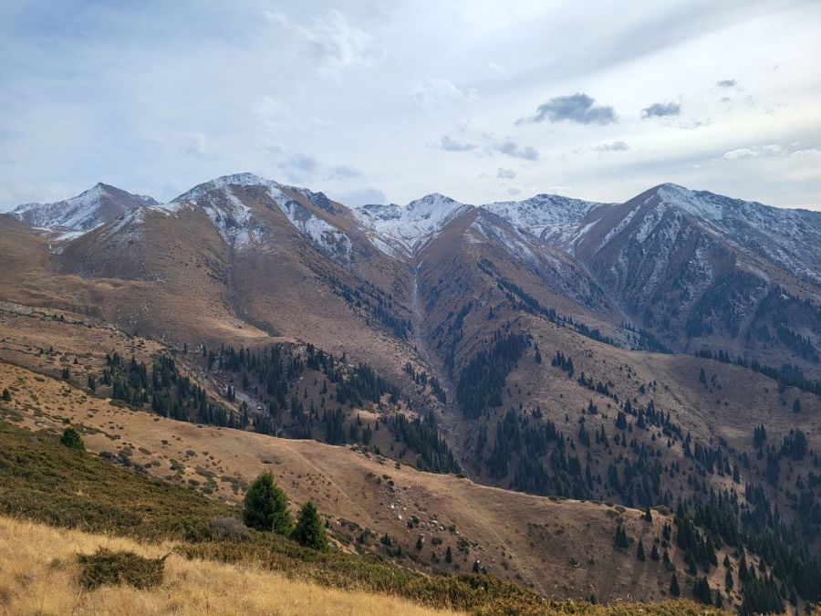 Короче, Казахстан прекрасен не только своими пейзажами (фото от Федора), но и тем, что необходимые документы там можно сразу без проблем сделать на русском языке