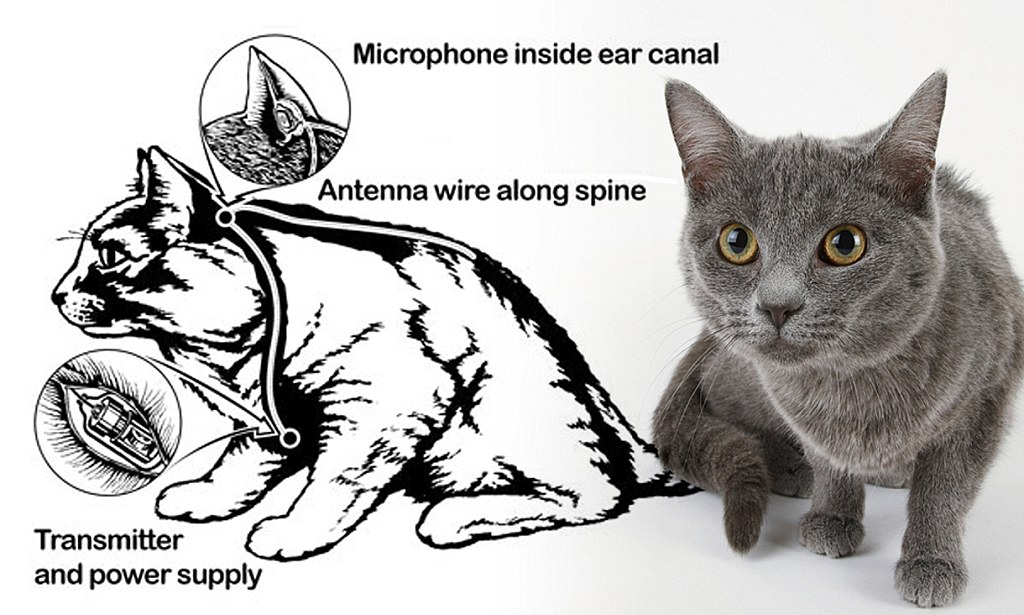 Шпионские страсти: самые странные и причудливые приспособления на службе разведок ХХ века. Часть 1 - 12 Шпионские страсти: самые странные и причудливые приспособления на службе разведок ХХ века. Часть 1 - 12