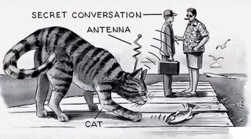 Шпионские страсти: самые странные и причудливые приспособления на службе разведок ХХ века. Часть 1 - 13 Шпионские страсти: самые странные и причудливые приспособления на службе разведок ХХ века. Часть 1 - 13