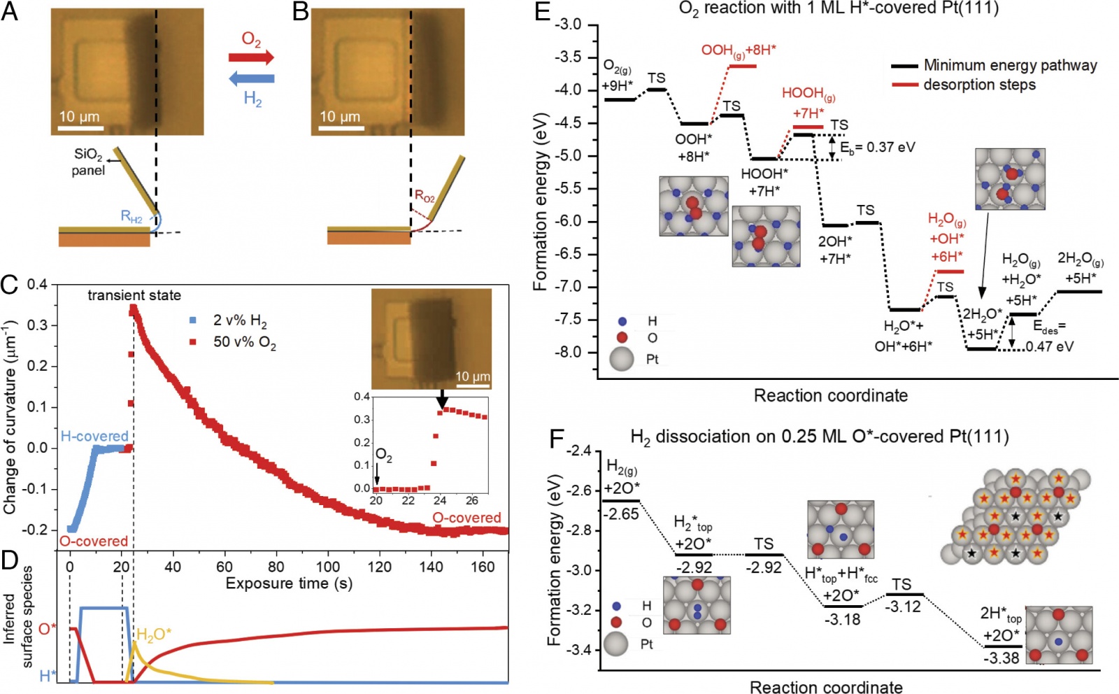 Самостоятельный киригами: преобразование химической энергии в механическую - 3 Самостоятельный киригами: преобразование химической энергии в механическую - 3
