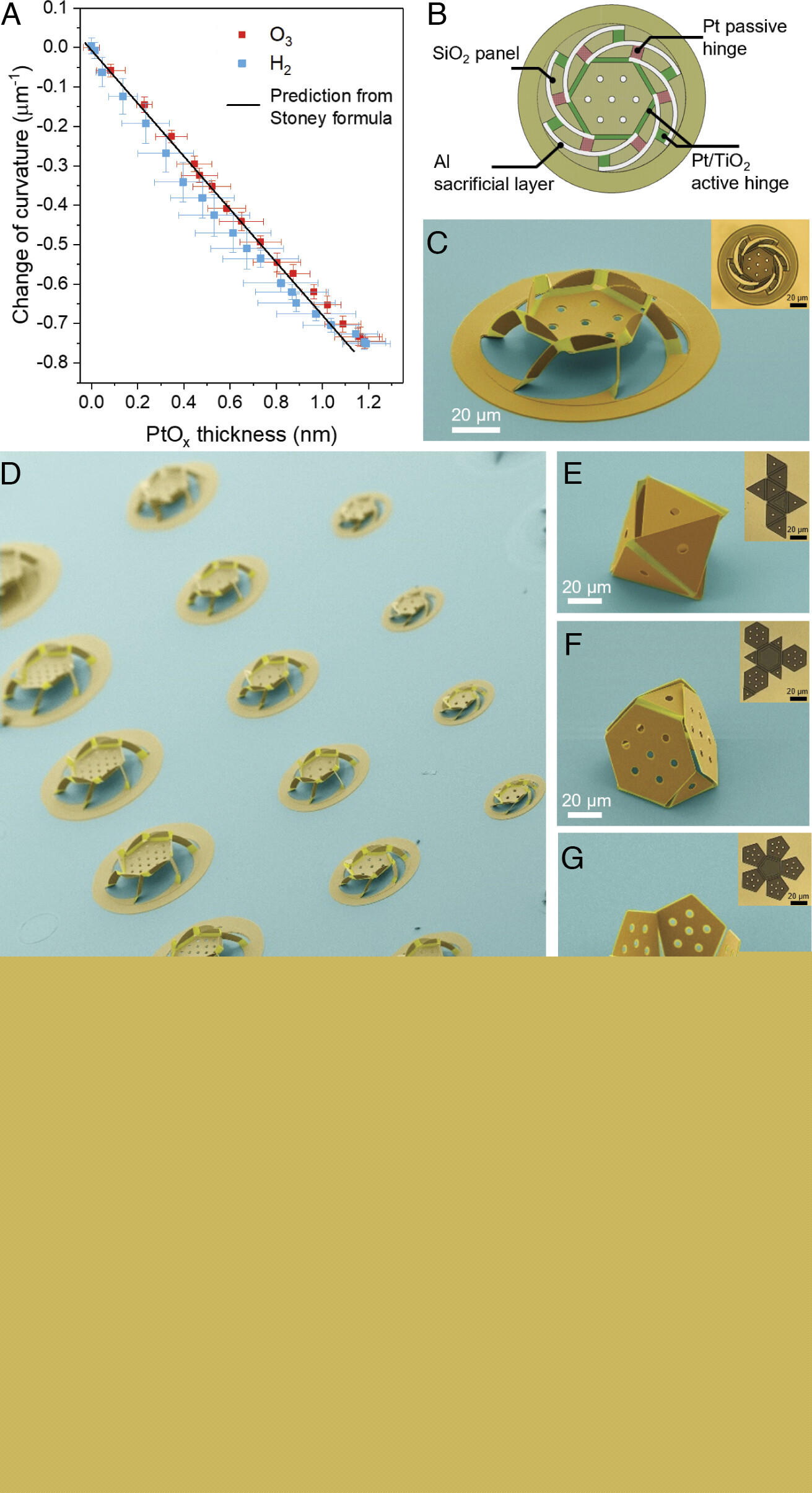 Самостоятельный киригами: преобразование химической энергии в механическую - 6 Самостоятельный киригами: преобразование химической энергии в механическую - 6