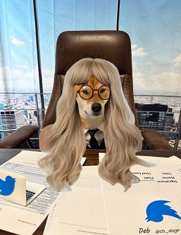 Официально: скоро Илон Маск уйдёт с поста гендиректора Twitter &mdash; он нашёл себе замену