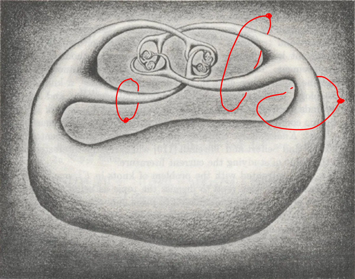 Рогатая сфера Александера — дикая конструкция, которая стала одним из символов топологии - 12