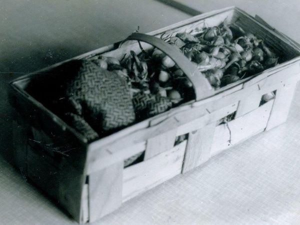 Шпионские страсти: самые странные и причудливые приспособления на службе разведок ХХ века. Часть 3 - 10 Шпионские страсти: самые странные и причудливые приспособления на службе разведок ХХ века. Часть 3 - 10