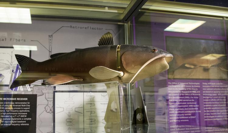 Шпионские страсти: самые странные и причудливые приспособления на службе разведок ХХ века. Часть 3 - 19 Шпионские страсти: самые странные и причудливые приспособления на службе разведок ХХ века. Часть 3 - 19