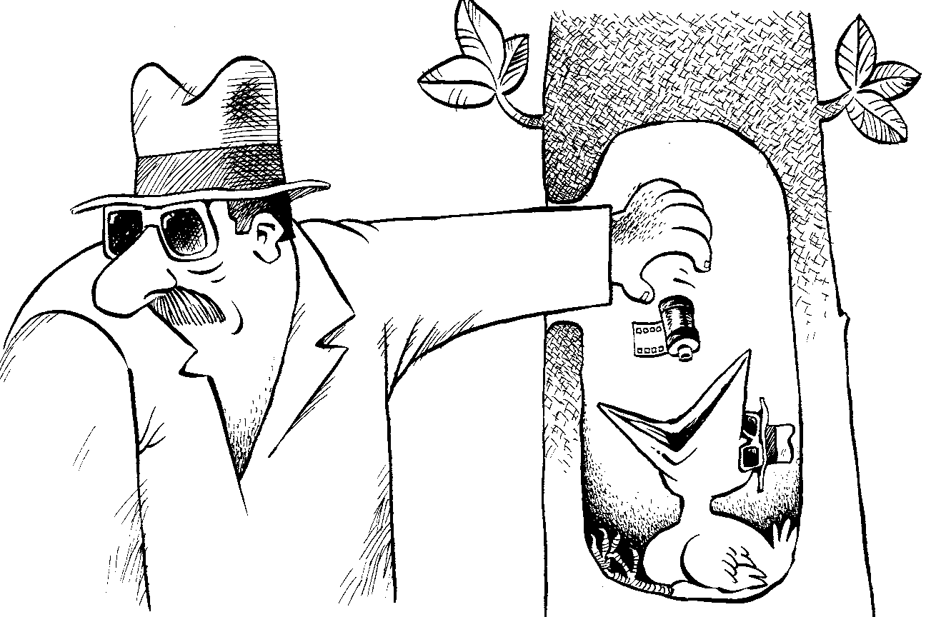 Шпионские страсти: самые странные и причудливые приспособления на службе разведок ХХ века. Часть 3 - 20 Шпионские страсти: самые странные и причудливые приспособления на службе разведок ХХ века. Часть 3 - 20