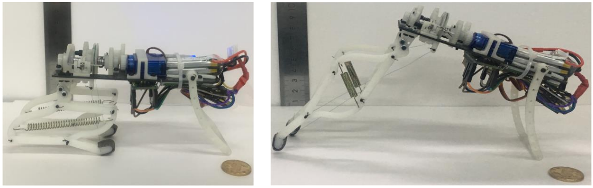 Как устроена белка: софт и хард - 3 Как устроена белка: софт и хард - 3