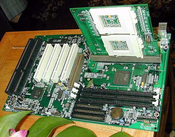 Причуды эволюции: необычное «железо», которое не должно было появиться. Часть 1 - 12 Причуды эволюции: необычное «железо», которое не должно было появиться. Часть 1 - 12